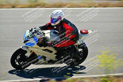 media/May-10-2024-2WTD (Fri) [[c88d7990af]]/Group C/Session 2-The Bowl/